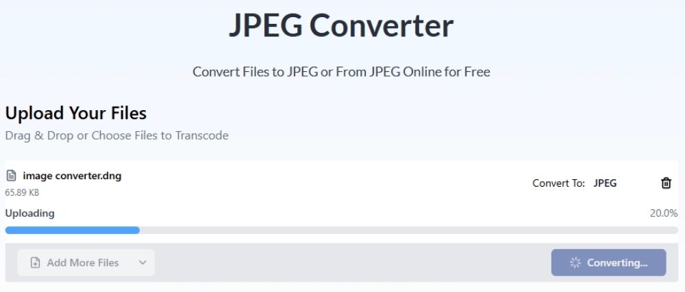 DNG-to-JPEG-conversion-progress