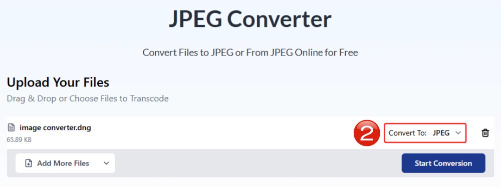Select-JPEG-output-format