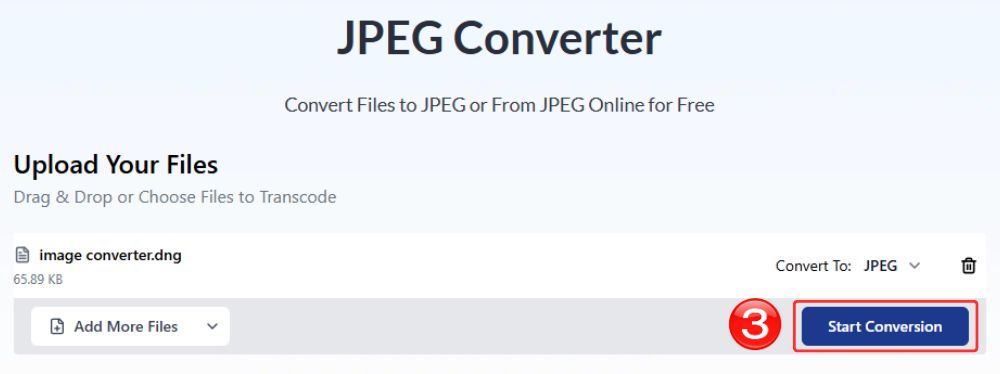 Start-DNG-to-JPEG-conversion