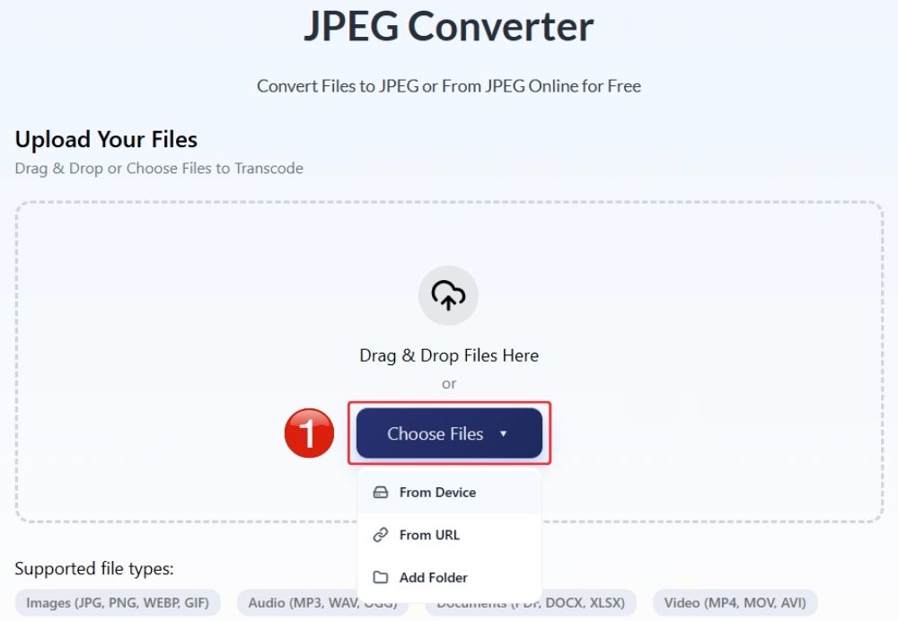 Upload-your-DNG-file