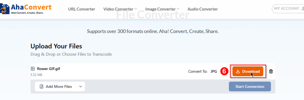 download the converted JPG file