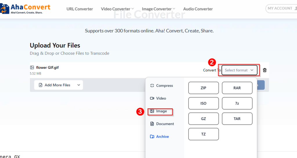 select the output format