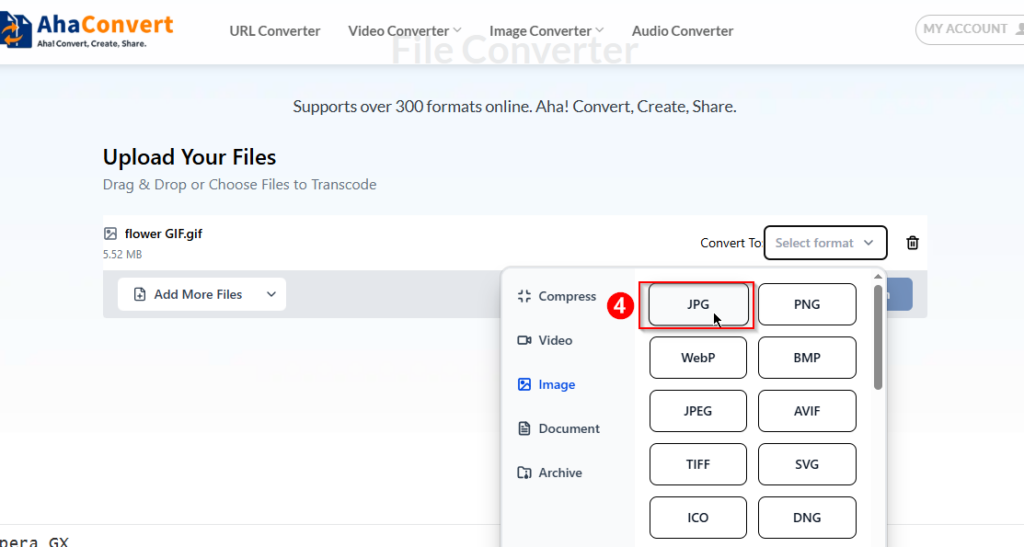 select the output format as JPG