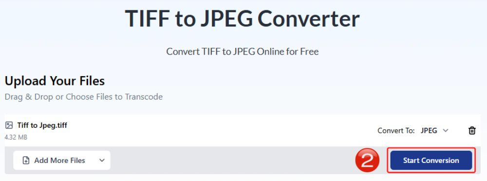 start-the-conversion