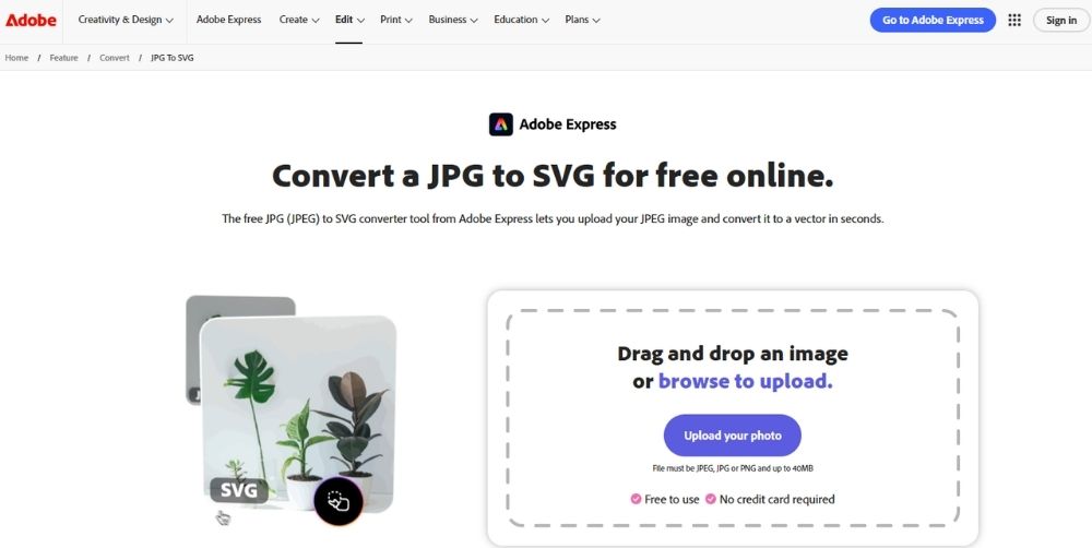 Adobe_Express_JPEG_to_SVG_Converter