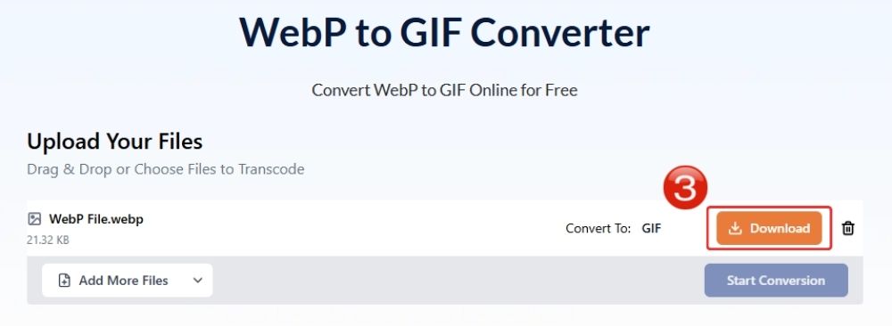 download_converted_GIF_file