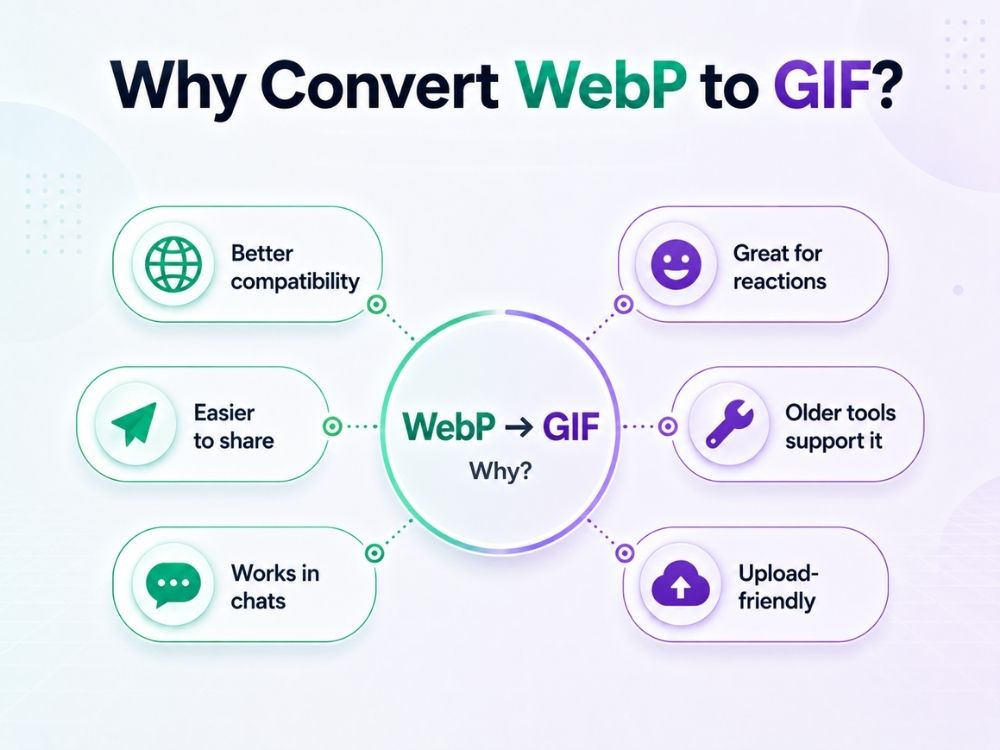why-convert-webp-to-gif