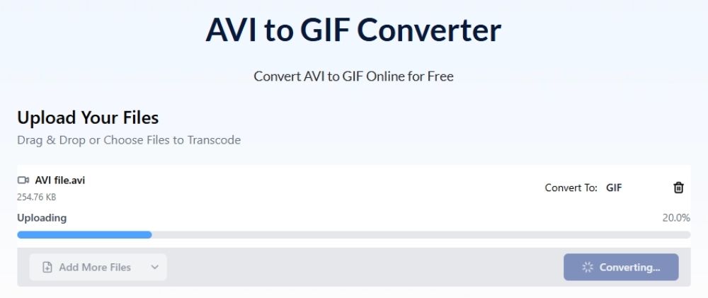 AVI to GIF conversion process