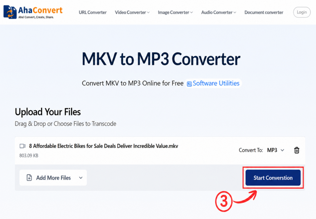 Start the MKV to MP3 conversion