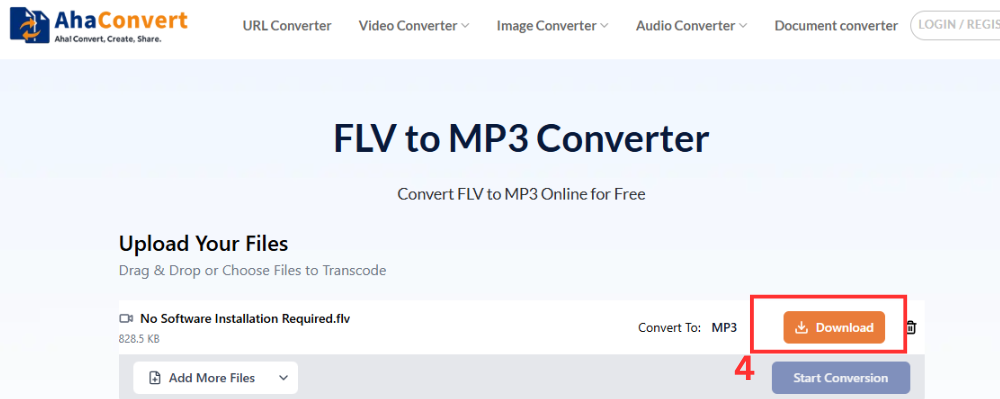 download the converted FLV file